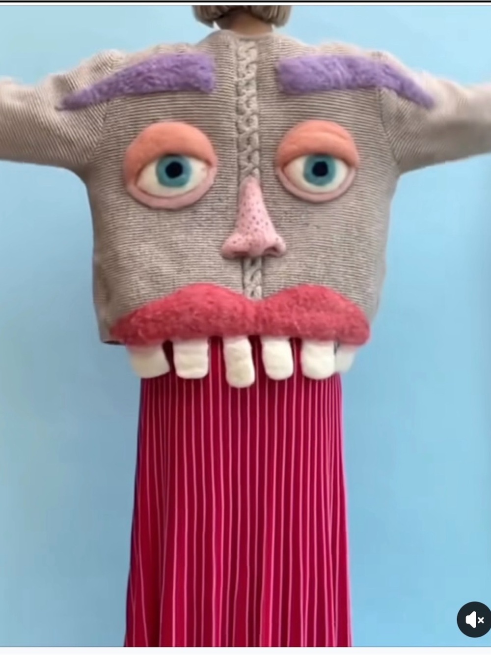 Woman’s adult face sweater